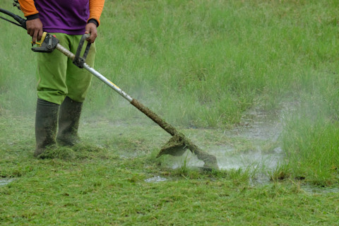 professional-lawn-mowing