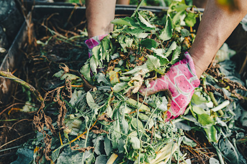 An image of a garden waste removal service