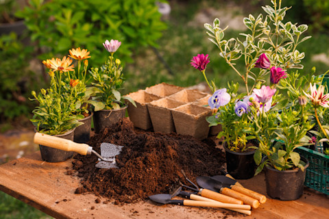 Feb Garden Jobs 