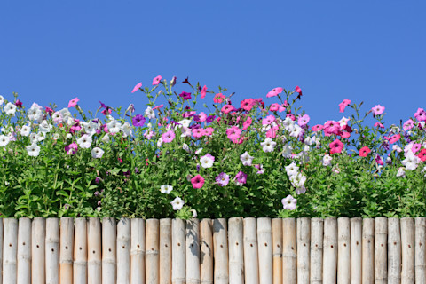 Garden Fence Ideas 8 (1)