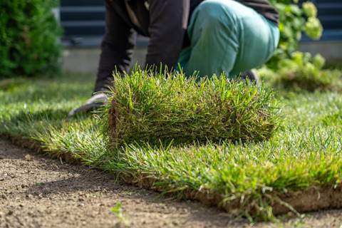 Fixing Grass 2