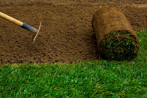 Turf prep 3