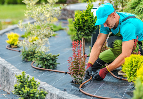 A technician installing a garden irrigation system, with pipes and sprinklers being laid out and connected in a garden bed, surrounded by soil and plants.