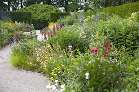 english-herb-garden-border