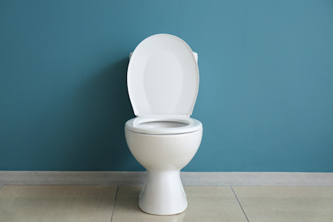 Traditional white toilet against a blue wall