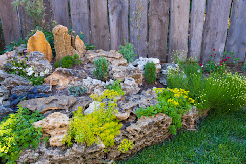 rockery garden 1