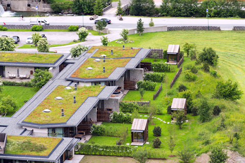 green-living-roofs