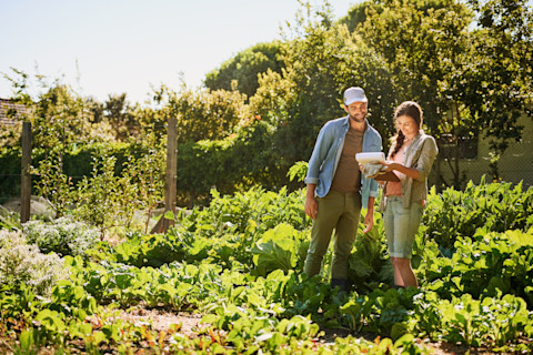 Garden landscaping costs 1