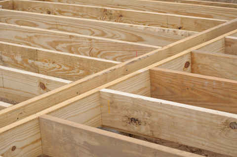 Floor joists that hold up the floor