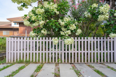 garden fence 
