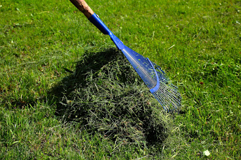 A professional gardener is providing a lawn service