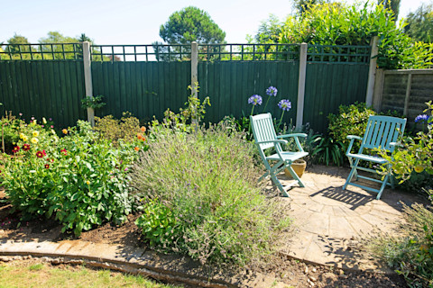 Inviting seating area with modern chairs and natural elements, bathed in soft natural light.