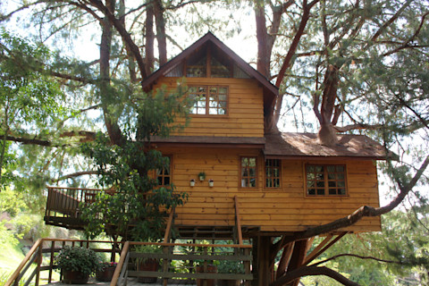 double-storey-tree-house