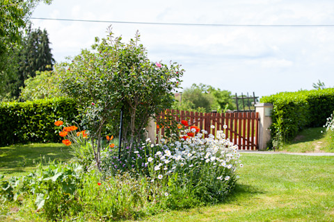 This image shows a charming spring and summer garden display featuring a variety of vibrant cottage flowers in full bloom, surrounded by lush greenery.