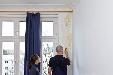 fixing-mouldy-wall