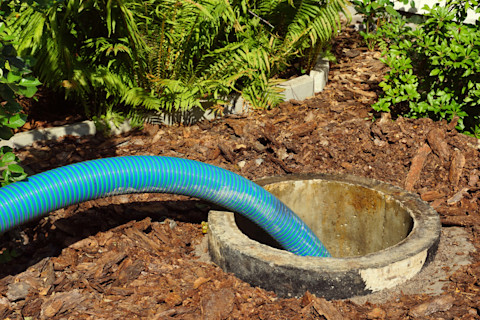 A septic tank with a blue pipe fed into it to pump out sewage from a property garden