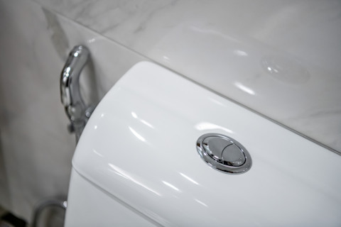Dual Flush Toilet