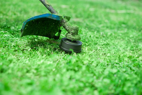 garden-strimmer