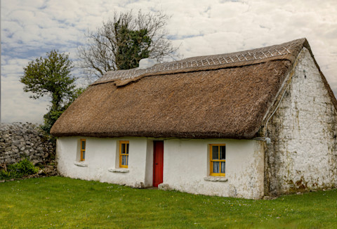Thatched Roof