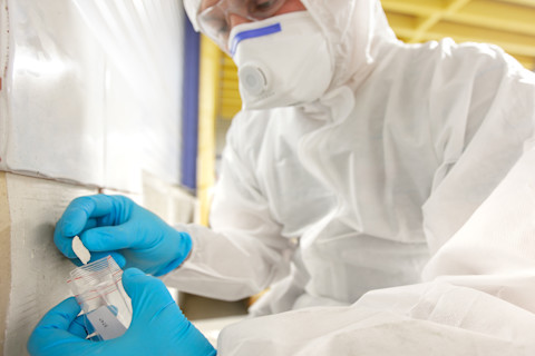 Asbestos surveyor taking a sample of building material in small plastic bag, standard survey to locate any presence and the extent of materials containing asbestos (ACMs)