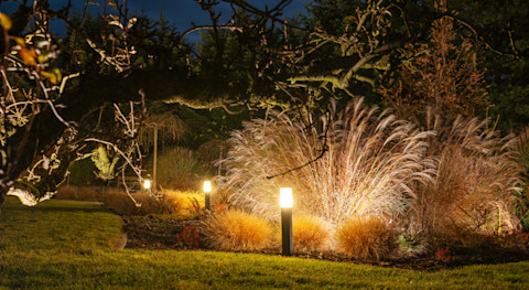 Garden Lighting 