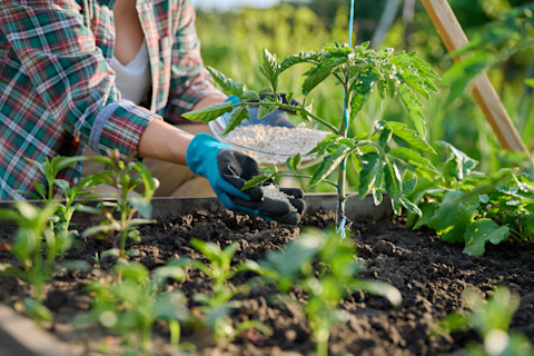 garden fertilizer 3