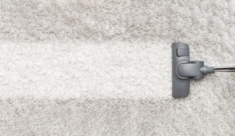 The head of a vacuum cleaner runs across a dirty white carpet. In its wake, it leaves behind a clean strip, which stands out on the dirty white carpet.