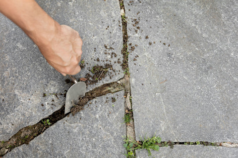 Pointing a patio 3