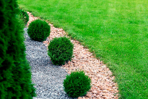 garden edging 2