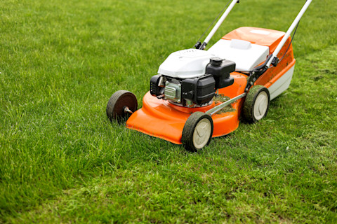 Lawn mower cutting grass in a backyard garden
