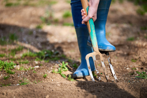 Gardening in April 2