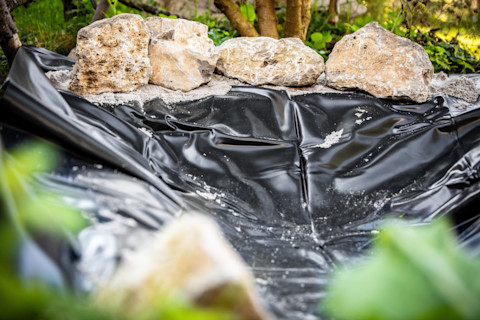 An empty pond with a cover.