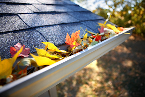 Gutter cleaning guide 3