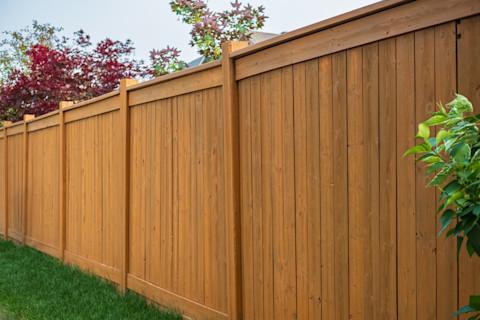 A wooden fence in a garden outdoors