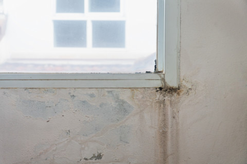 Signs of a window leaking