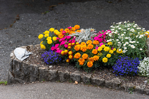 garden-corner-flowerbed