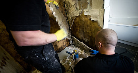 Damp-proofing