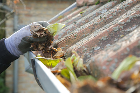 Hand removing fallen leaves from a house gutter during cleaning.
