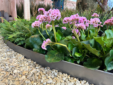 All year round plants 2