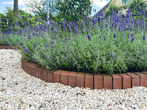 Flower Bed Edging 2