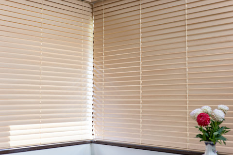 Window blind 1