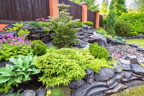 rockery garden 2