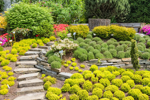 rockery garden 3