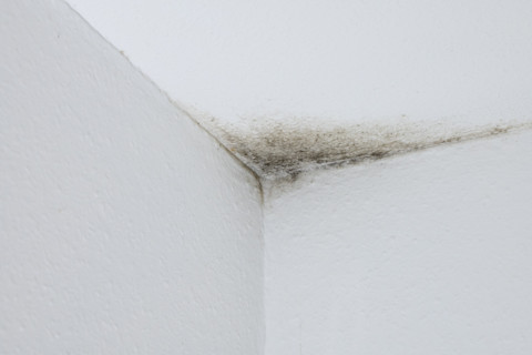 Ceiling stain 1