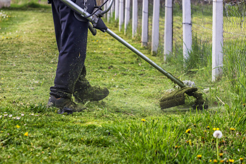 Lawn cutting 1