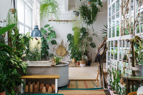 indoor-garden