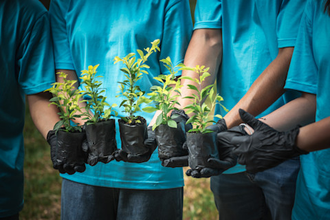 children-holding-tree-saplings