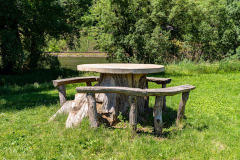 kill a tree stump 3 (1)