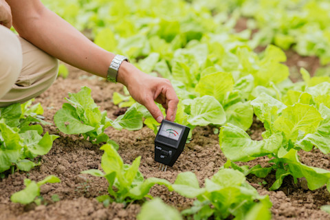 Gardening in April 3