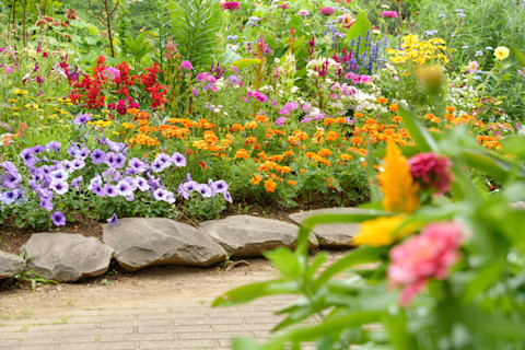 summer garden 2